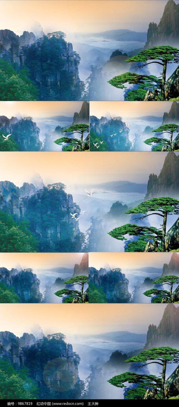 了解我男朋友还能找到女朋友吗?,加入知识星球平台